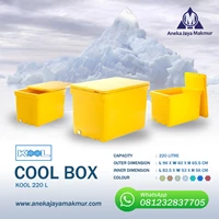 Cooler Box Pendingin KOOL 220 Liter